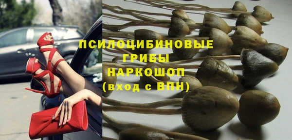 мяу мяу мука Абинск