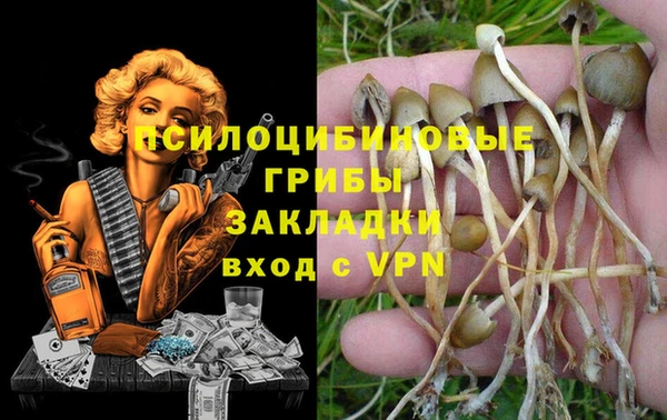 мяу мяу мука Абинск