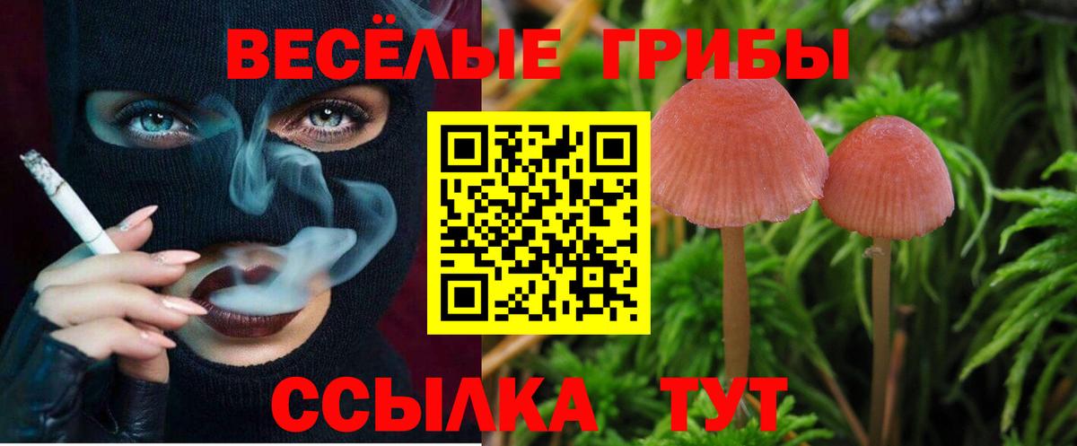 Галлюциногенные грибы прущие грибы  Вход с VPN  Рассказово 